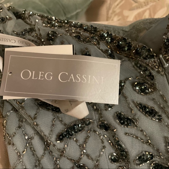 NWT SIZE 4 SYLVEE OLEG CASSINI SAGE GOWN - Picture 7 of 9